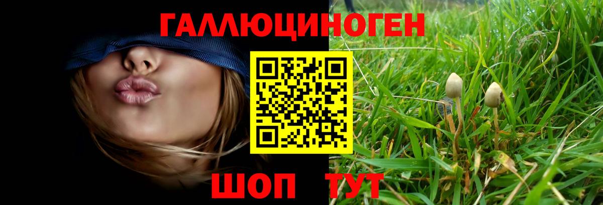 Псилоцибиновые грибы Cubensis Бахчисарай